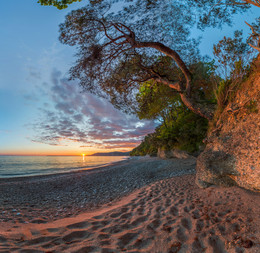 Der Strand und die Kiefer. / ***