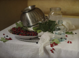 Mit Currant ... / ................