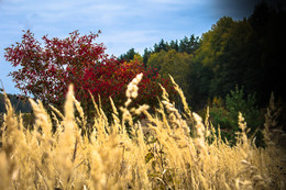 Drei Farben: Rot / ***