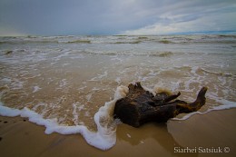 Winter in Liepaja. Sturm. / ***