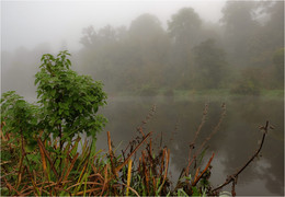 ... Foggy morning ... / ***