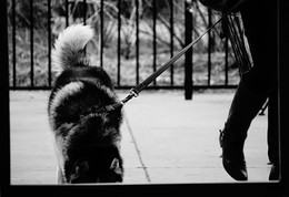 Männlich oder weiblich? / ***