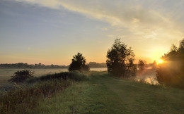 A summer morning. / ***