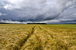 Der Sturm kommt. / ***