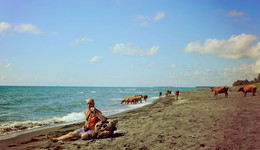 Das Meer, die Sonne und der Schäfer / ***