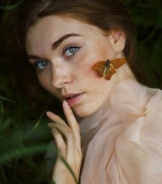 Schmetterlinge / ***
