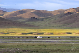 Nomadic Mongolia / Nomadic Mongolia