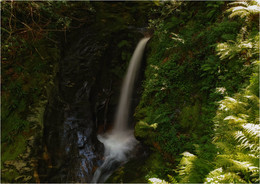 ... In den meisten Glendalough III ... / ***