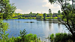 Morgen auf dem See / ***