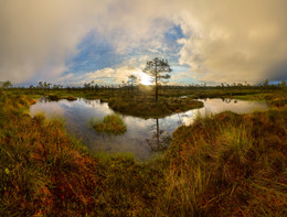 Malerischen Moor. / ***