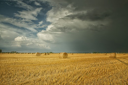 Vor dem Sturm / ***