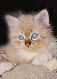 Schöne Aussicht / ***