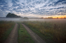 Morgennebel / ***