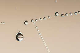 Am Ufer des Flusses / ***