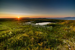 Sonnenuntergang in der Tundra / ***