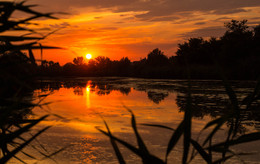 Sonnenuntergang in den Sumpf / ***