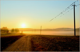 Nebel lag auf dem Feld .... / ***