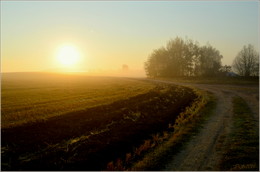 auf dem Weg nach der Sonne / ***