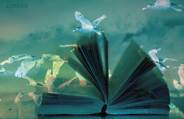 das Buch gelesen / ***