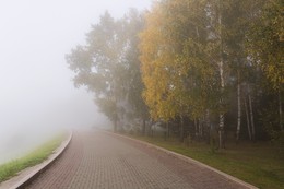 Nebel im September. / ***