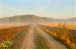 Zeichen des Herbstes / ***