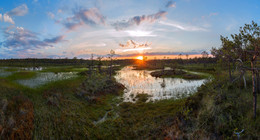 Sonnenuntergang auf den Sumpf. / ***
