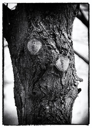 Ich will singen / ***