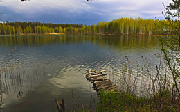 Forest Lake. / ***
