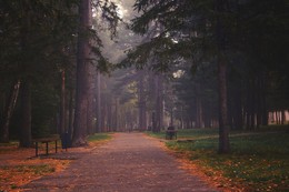 Ein Spaziergang durch den Herbst. / ***