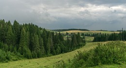 Nach dem Regen / ***