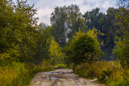 Straße zum Herbst / ***