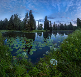 Teich im Park. / ***