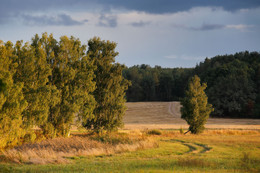 Das Gefühl der Herbst / http://max-helloween.livejournal.com/123710.html