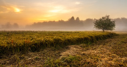 Herbst Felder wanderte ich ... / ***