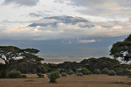 Mount Kilimanjaro &quot;in den Sonnenuntergang!&quot; / ***