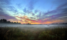 Nebligen Morgen im August ... / ***