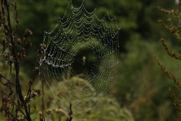 Und wir müssen Nieselregen zu schützen / ***