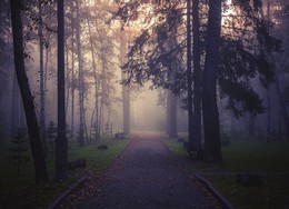 Im Herbst Gasse. / ***