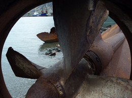 Das Schicksal des Schiffes / ***