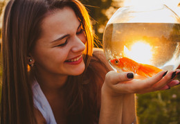 Sonne im Aquarium / ***