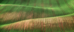 Planet Moravia / ***