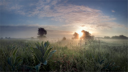 Der Morgen in der Morgendämmerung Nebel-3 gebadet / ...