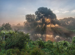 Morgendämmerung / ***