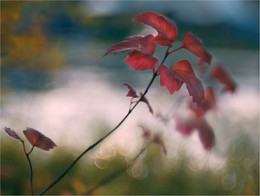 Bilder warmen Herbst / ***