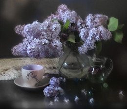 Lavendelnebel / ***