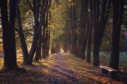 Gehen Sie unter den Linden. / ***