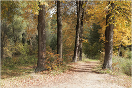 Atem des Herbstes / ***