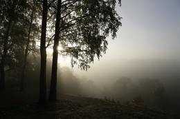 Nebel im Tal / ***