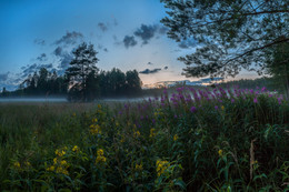 Sommer blühende, oder Morgendämmerung. / ***