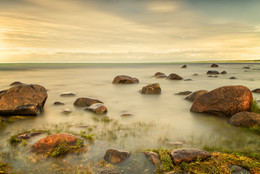 Steine ​​im Meer / ***